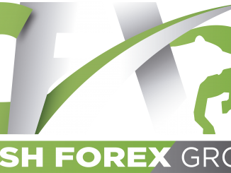 Cash Forex Group Logo
